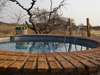 Andersson's Camp - Pool